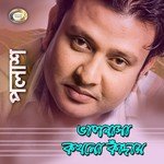 Mehedir Raat Polash Song Download Mp3