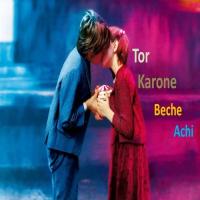 Tor Karone Beche Achi Nazmul Song Download Mp3