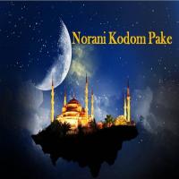 Norani Kodom Pake Hafiz Hamidullah Song Download Mp3