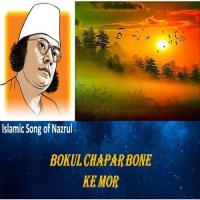 Elore Elo Oi Rono Rongini Bulbul Moholanbish Song Download Mp3