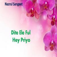 Din Gelo Mor Mayar Vule M. A. Mannan Song Download Mp3