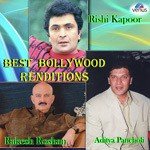 Radha Bina Hai Kishen Akela Manhar,Sadhana Sargam Song Download Mp3