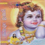 Shri Radhey Radhey Swami Mukundananda Song Download Mp3