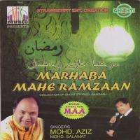 Lahma Lahma Noor Me Duba Mohammed Aziz,Udit Narayan,Mohd Salamat,Ravinder Tiwari Song Download Mp3