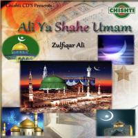 Hum Madine Se Allah Zulfiqar Ali Song Download Mp3