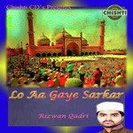 Ya Ali Rizwan Qadri Song Download Mp3