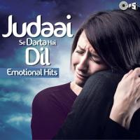 Ishq Bina Ishq Bina (Taal) Kavita Krishnamurthy,Sukhwinder Singh Song Download Mp3