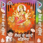 He Jagtarni Maiya Naresh Vyash Song Download Mp3