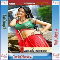 Sali Aapan Didiya Se Kaha Tu Naresh Vyas Song Download Mp3