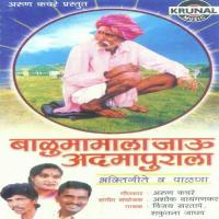 Aavad Tula Kanya Bhandaryachi Vijay Sartape Song Download Mp3