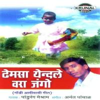 Ned Mawa Karsana Holi Pandurang Meshram Song Download Mp3