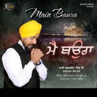 Kaahe Mann Tu Dolta Bhai Sharnjit Singh Ji Sultanpur Lodhi Wale Song Download Mp3