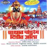 Mala Varkari Navra Pahije Shakuntala Jadhav Song Download Mp3