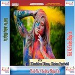 Holi Me Choli Fare Indu Sonali Song Download Mp3