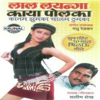 Gori Kayi Kashi Bi Hoti Herala Salim Shaikh Song Download Mp3