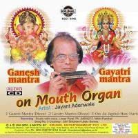 Ganesh Mantra 1 (Ring Tone) Jayant Adenwale Song Download Mp3