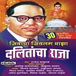 Aali Bhimachi Jayanti Vijay Sartape Song Download Mp3