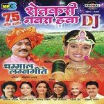 Chandachi Chandani Chamcham Chamkat Hoti Kavita Nikam Song Download Mp3