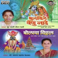 Bhaiya Gadivale Ku. Bharti Madavi Song Download Mp3