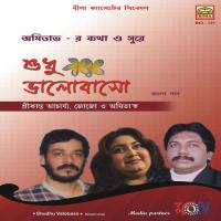 Bristite Vijle Pore Amitava Bagchi Song Download Mp3