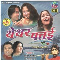 Thethar Patai Kadiyo Na Jhare Bashir Ansari Song Download Mp3