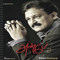 Yen Nenjiliae Vazhkireer Peter Richard Song Download Mp3