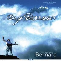 Oppuvikintren Bernard Song Download Mp3