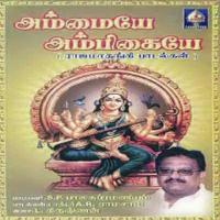 Konjum Kili Mozhiyaale S.P. Balasubrahmanyam Song Download Mp3