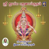 Irumudi Taangi Sri Haribhajan Sangam Song Download Mp3