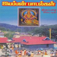 Paadalaam Paadalaam P.N. Parasuraman Song Download Mp3