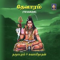 Ulagelaam Unarndu Dharmapuram P. Swaminathan Song Download Mp3