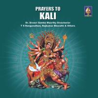 Om Shakti Mahaa Shakti T.S. Ranganathan Song Download Mp3