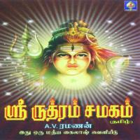 Sri Rudram A.V. Ramanan Song Download Mp3