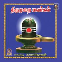 Aadum Mayilai Uruveduthu Lalgudi Swaminathan Song Download Mp3