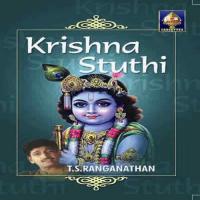 Hariharanastakam T.S. Ranganathan Song Download Mp3