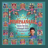 Sri Shanaishchara T.S. Ranganathan Song Download Mp3