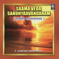 Parishechana Mantram (Evening) S. Ganesha Srowthigal Song Download Mp3