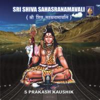 Shiva Sahasranamavali (Cont) S. Prakash Kaushik Song Download Mp3