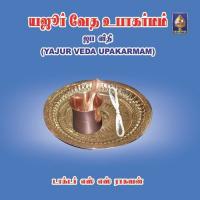 Introduction (Yajurveda Upaaakaramam Japa Vidhi Only) Various Artists Song Download Mp3