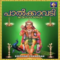 Mayil Nirannadum Krishna Chandran Song Download Mp3