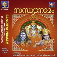 Naranaayingane Ambili,Susheela Venugopal Song Download Mp3