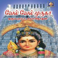 Vaa Vaa Vaa Vaa Dharmapuram P. Swaminathan Song Download Mp3