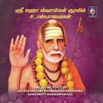 Devi Mahathmyam Namaskara Stotram T.S. Ranganathan Song Download Mp3