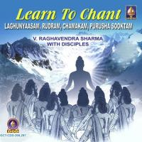 Rudram Contd Dr. V. Raghavendra Sharma Song Download Mp3