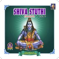 Sri Parameswara Aksharamalika Stotram (Samba Sadashiva) T.S. Ranganathan Song Download Mp3