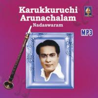 Raga Alapana (Raga - Abhogi) Karukurichi P. Arunachalam Song Download Mp3