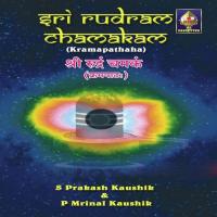 Chamakam 5 S. Prakash Kaushik Song Download Mp3