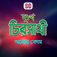 Ami Tor Piriter Mora Aleya Begum Song Download Mp3