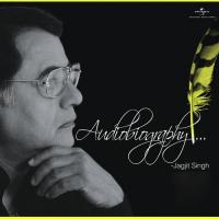 Benaam Sa Ye Dard (Dhoop  Soundtrack Version) Jagjit Singh Song Download Mp3