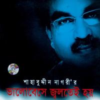 Ekti Chotto Asha Shahabuddin Nagori Song Download Mp3